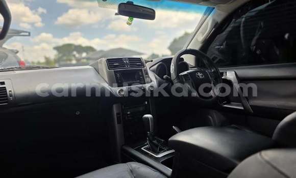 Buy Used Toyota Prado White Car in Harare in Harare Buy Used Toyota Prado White Car in Harare in Harare