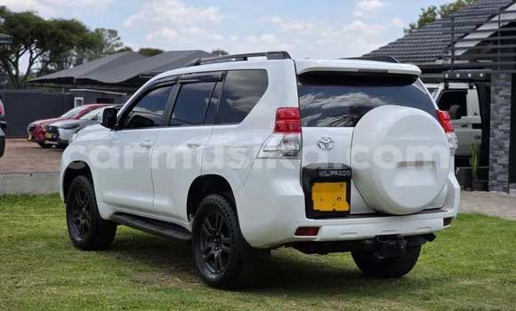 Buy Used Toyota Prado White Car in Harare in Harare Buy Used Toyota Prado White Car in Harare in Harare