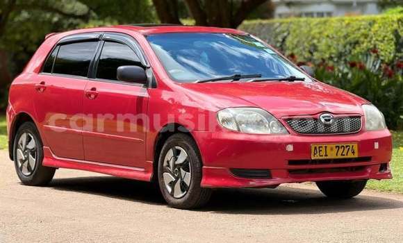 Buy Used Toyota Runx Red Car in Harare in Harare