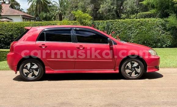 Buy Used Toyota Runx Red Car in Harare in Harare Buy Used Toyota Runx Red Car in Harare in Harare