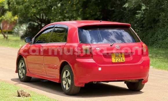 Buy Used Toyota Runx Red Car in Harare in Harare Buy Used Toyota Runx Red Car in Harare in Harare