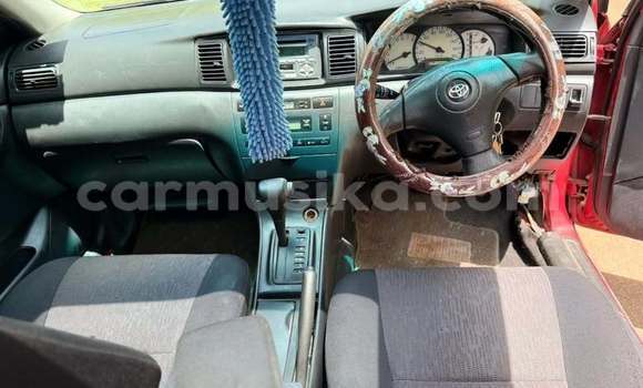 Buy Used Toyota Runx Red Car in Harare in Harare Buy Used Toyota Runx Red Car in Harare in Harare