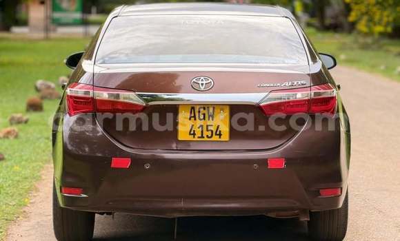 Buy Used Toyota Corolla Altis Red Car in Harare in Harare