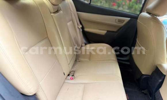 Buy Used Toyota Corolla Altis Red Car in Harare in Harare Buy Used Toyota Corolla Altis Red Car in Harare in Harare