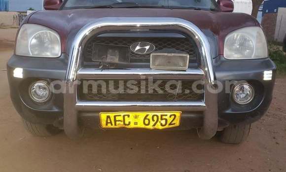 Buy Used Hyundai Santa Fe Red Car in Harare in Harare
