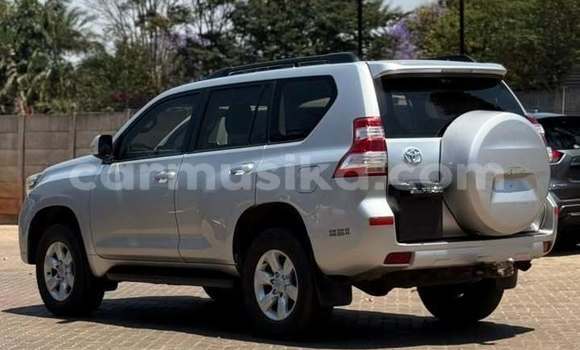Buy Used Toyota Land Cruiser Prado Other Car in Harare in Harare Buy Used Toyota Land Cruiser Prado Other Car in Harare in Harare