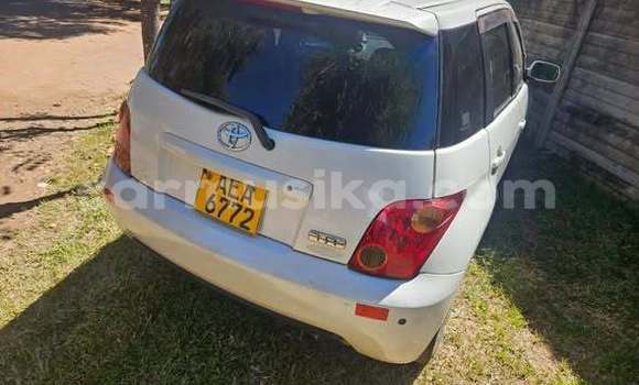 Buy Used Toyota IST Other Car in Harare in Harare Buy Used Toyota IST Other Car in Harare in Harare