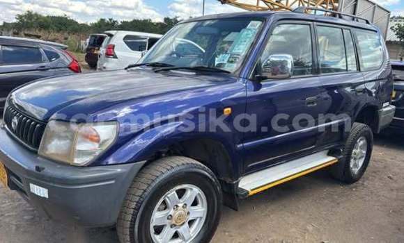 Buy Used Toyota Prado Other Car in Harare in Harare Buy Used Toyota Prado Other Car in Harare in Harare