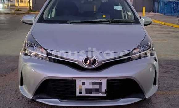 Buy Used Toyota Vitz Other Car in Harare in Harare Buy Used Toyota Vitz Other Car in Harare in Harare