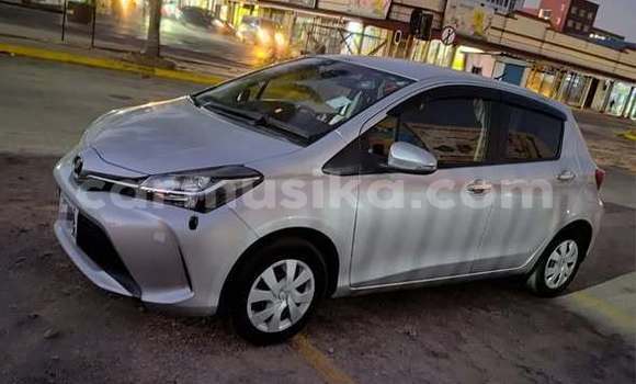 Buy Used Toyota Vitz Other Car in Harare in Harare Buy Used Toyota Vitz Other Car in Harare in Harare