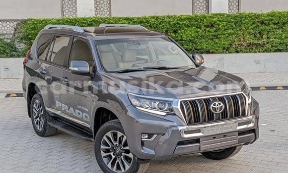 Buy Used Toyota Land Cruiser Prado White Car in Harare in Harare