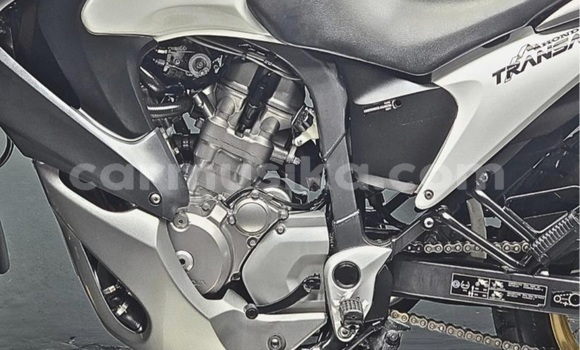 Buy Used Honda XL Black Bike in Beitbridge in Matabeleland South Buy Used Honda XL Black Bike in Beitbridge in Matabeleland South