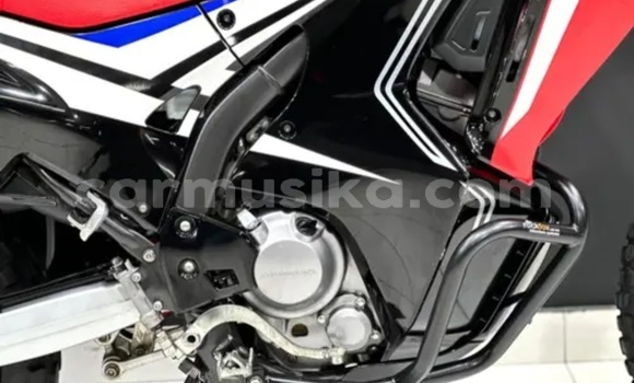 Buy Used Honda CRF250X Red Bike in Beitbridge in Matabeleland South Buy Used Honda CRF250X Red Bike in Beitbridge in Matabeleland South