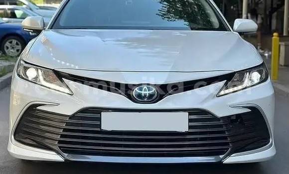 Buy Used Toyota Camry White Car in Harare in Harare