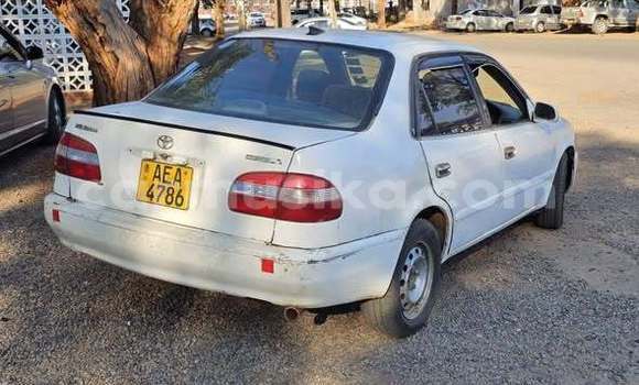 Buy Used Toyota Corolla Other Car in Harare in Harare Buy Used Toyota Corolla Other Car in Harare in Harare