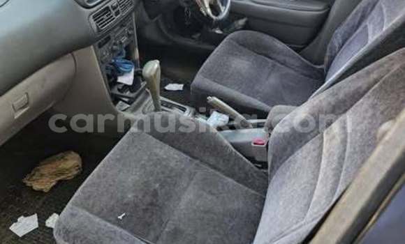 Buy Used Toyota Corolla Other Car in Harare in Harare Buy Used Toyota Corolla Other Car in Harare in Harare