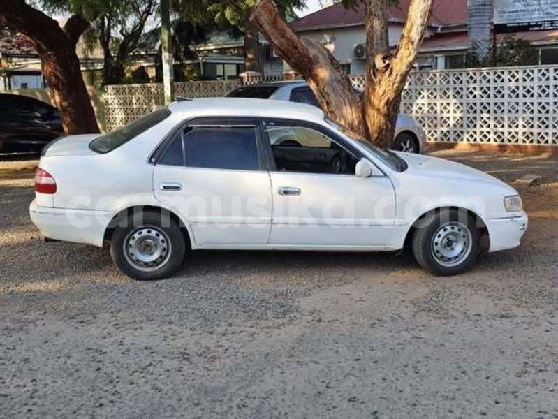 Big with watermark toyota corolla harare harare 38038