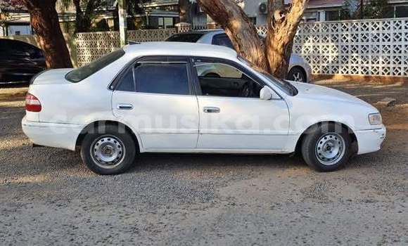 Buy Used Toyota Corolla Other Car in Harare in Harare Buy Used Toyota Corolla Other Car in Harare in Harare