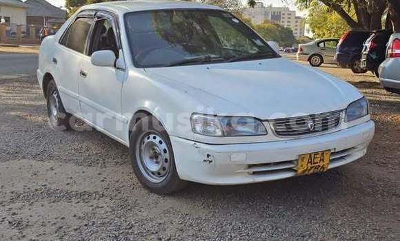 Buy Used Toyota Corolla Other Car in Harare in Harare Buy Used Toyota Corolla Other Car in Harare in Harare