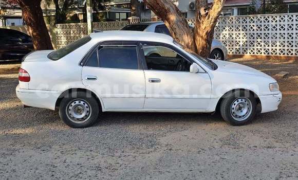 Buy Used Toyota Corolla Other Car in Harare in Harare Buy Used Toyota Corolla Other Car in Harare in Harare