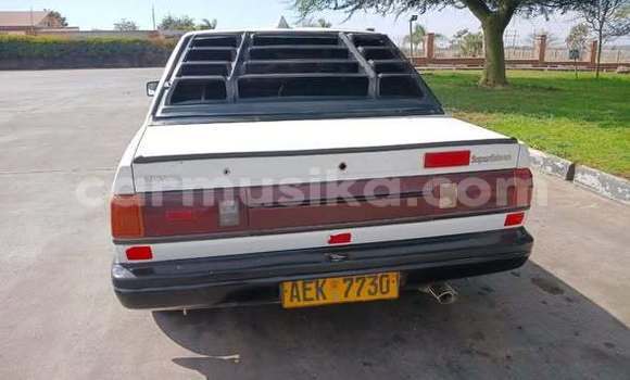 Buy Used Nissan Sunny Other Car in Harare in Harare Buy Used Nissan Sunny Other Car in Harare in Harare