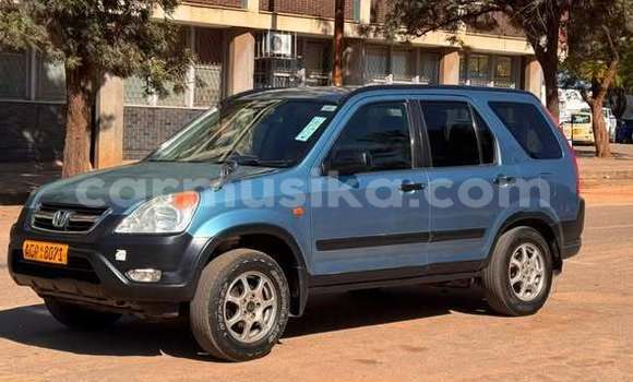 Buy Used Honda Accord Other Car in Harare in Harare Buy Used Honda Accord Other Car in Harare in Harare