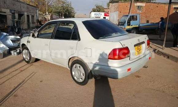 Buy Used Toyota Corolla Other Car in Harare in Harare