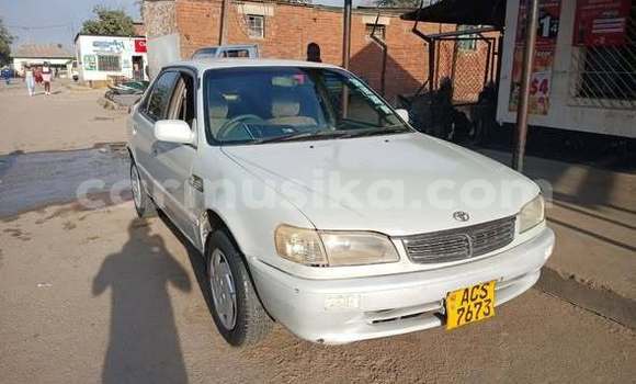 Buy Used Toyota Corolla Other Car in Harare in Harare Buy Used Toyota Corolla Other Car in Harare in Harare