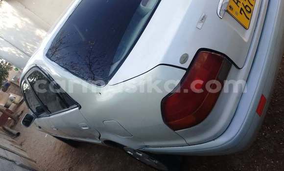 Buy Used Toyota Corolla Other Car in Harare in Harare Buy Used Toyota Corolla Other Car in Harare in Harare
