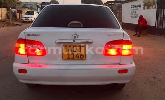 Buy Used Toyota Corolla Other Car in Harare in Harare Buy Used Toyota Corolla Other Car in Harare in Harare