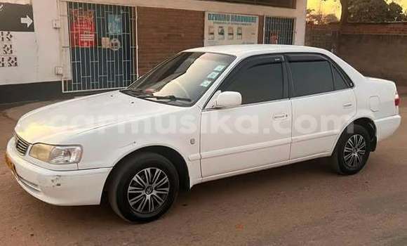 Buy Used Toyota Corolla Other Car in Harare in Harare Buy Used Toyota Corolla Other Car in Harare in Harare