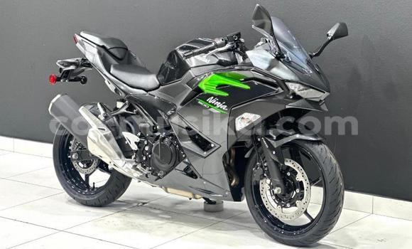 Buy Used Kawasaki Ninja Black Bike in Beitbridge in Matabeleland South