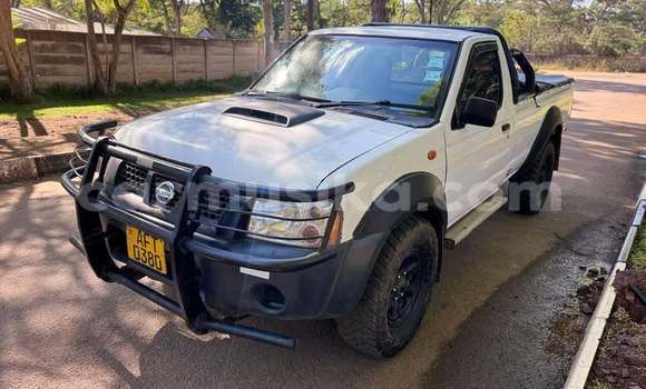 Buy Used Nissan NP 300 White Car in Bulawayo in Bulawayo