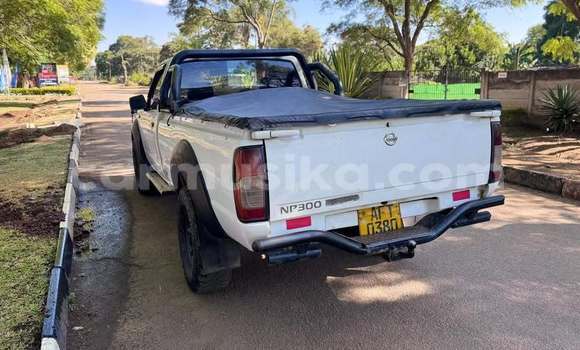 Buy Used Nissan NP 300 White Car in Bulawayo in Bulawayo Buy Used Nissan NP 300 White Car in Bulawayo in Bulawayo