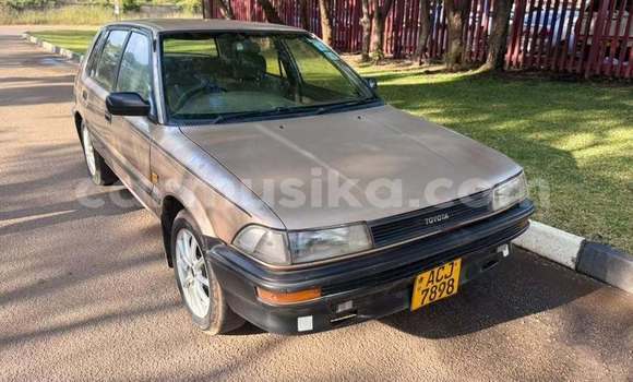 Buy Used Toyota Corolla Other Car in Harare in Harare