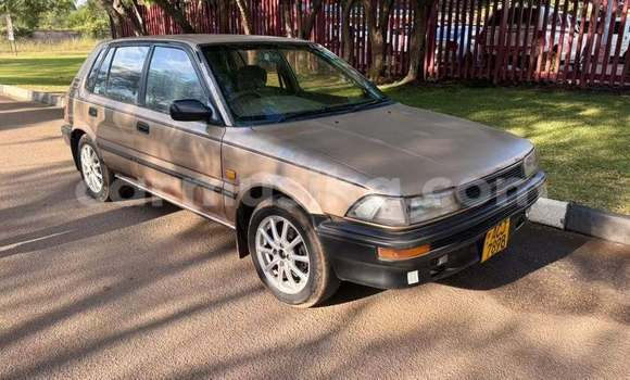 Buy Used Toyota Corolla Other Car in Harare in Harare Buy Used Toyota Corolla Other Car in Harare in Harare