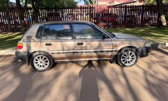 Buy Used Toyota Corolla Other Car in Harare in Harare Buy Used Toyota Corolla Other Car in Harare in Harare