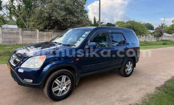 Buy Used Honda CR–V Blue Car in Harare in Harare
