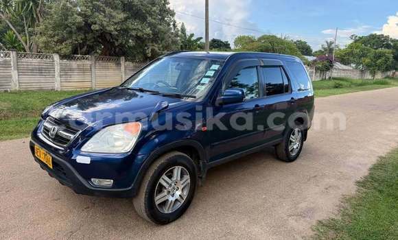 Buy Used Honda CR–V Blue Car in Harare in Harare Buy Used Honda CR–V Blue Car in Harare in Harare