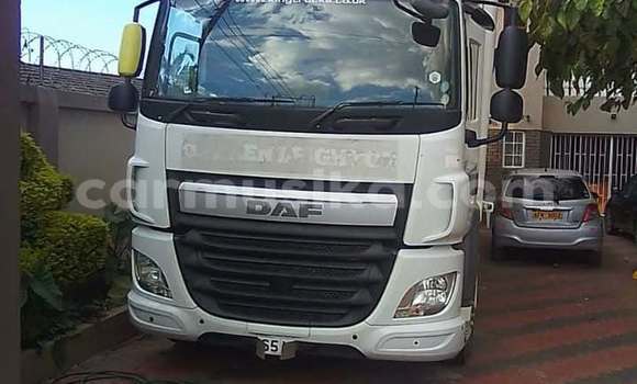 Buy Used DAF CF White Truck in Harare in Harare