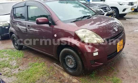 Buy Used Toyota Passo Red Car in Chegutu in Mashonaland West