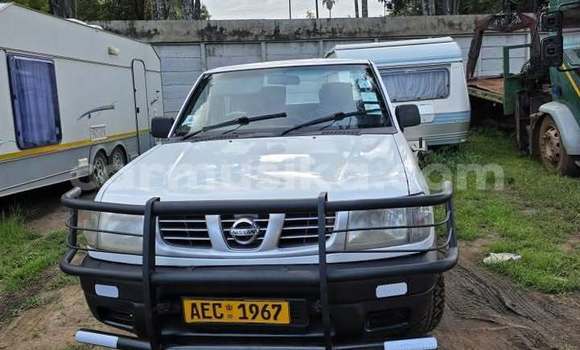 Buy Used Nissan Hardbody White Car in Borrowdale in Harare