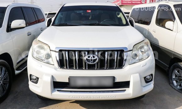 Tenga Imported Toyota Prado Chena Mota in Import - Dubai in Harare Tenga Imported Toyota Prado Chena Mota in Import - Dubai in Harare
