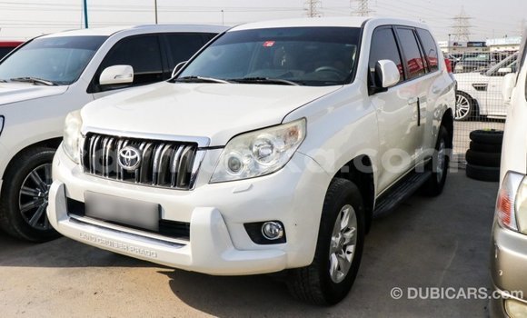 Tenga Imported Toyota Prado Chena Mota in Import - Dubai in Harare Tenga Imported Toyota Prado Chena Mota in Import - Dubai in Harare
