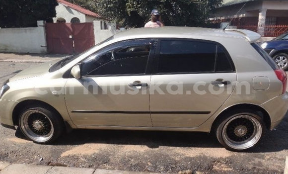 Acheter Occasion Voiture Toyota Runx Gris à Beitbridge, Matabeleland South Acheter Occasion Voiture Toyota Runx Gris à Beitbridge, Matabeleland South