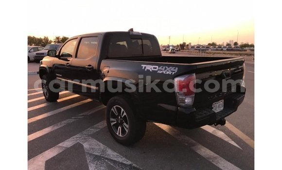 Tenga Imported Toyota Tacoma Nhema Mota in Import - Dubai in Harare Tenga Imported Toyota Tacoma Nhema Mota in Import - Dubai in Harare