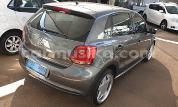 Tenga Tsaru Volkswagen Polo Zvimwe Mota in Beitbridge in Matabeleland South Tenga Tsaru Volkswagen Polo Zvimwe Mota in Beitbridge in Matabeleland South
