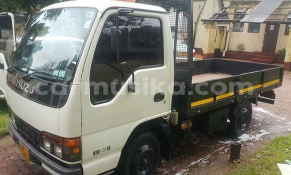 Buy Used Isuzu Elf White Truck in Harare in Harare Buy Used Isuzu Elf White Truck in Harare in Harare