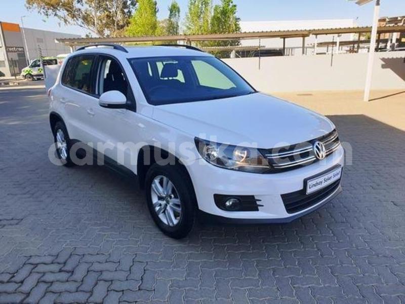 Big with watermark 1