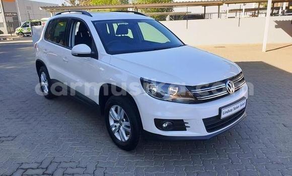 Tenga Tsaru Volkswagen Tiguan Chena Mota in Beitbridge in Matabeleland South Tenga Tsaru Volkswagen Tiguan Chena Mota in Beitbridge in Matabeleland South